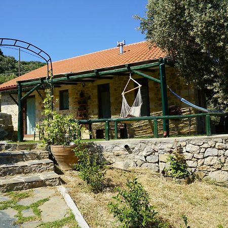 Elpida Country House -Paleochora-Anidri Eksteriør billede